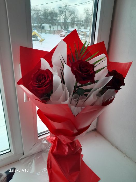 Продам цветы розы