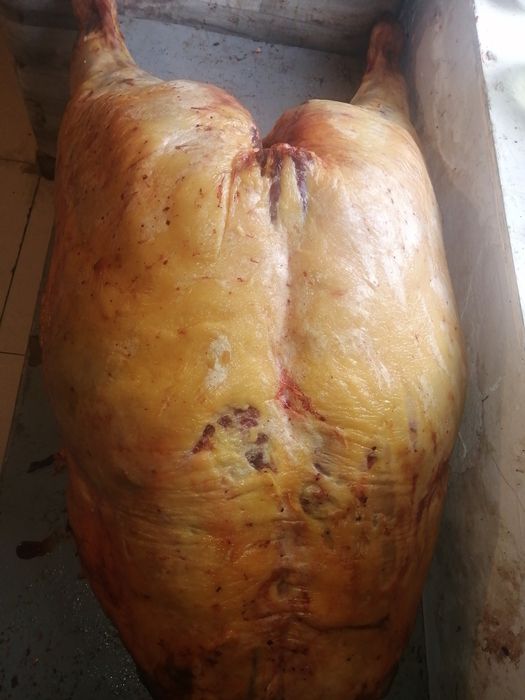 Мясо конина на согым