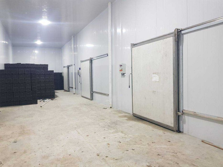 Сдается в аренду холодильные камеры (Холодильник имеется тара)