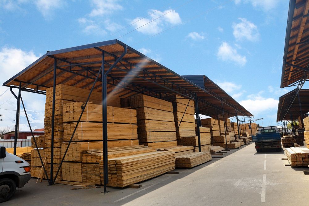 Scandura Preajba Dolj