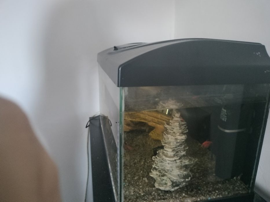 Acvariu  diversa eco 60