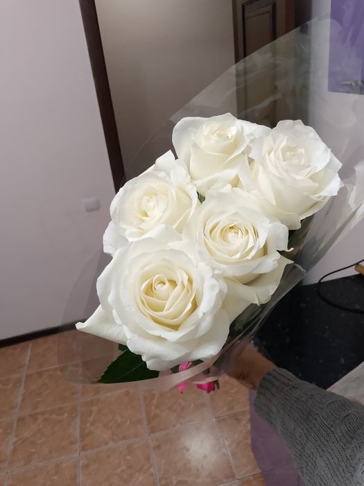 Цветы роза продам