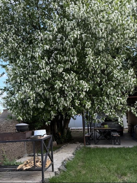 Продам дом в живописном месте