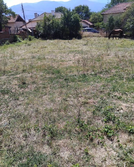 Продава се Парцел в с. Крайници, Област Кюстендил - 1000 кв.м за 42 €/кв.м - Снимка #1