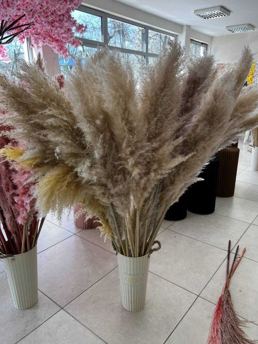 Сухи цветя - пампас, гипсофил, статица, хортензия и други
