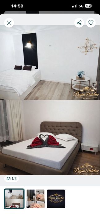 Regim Hotelier Non Stop Titan