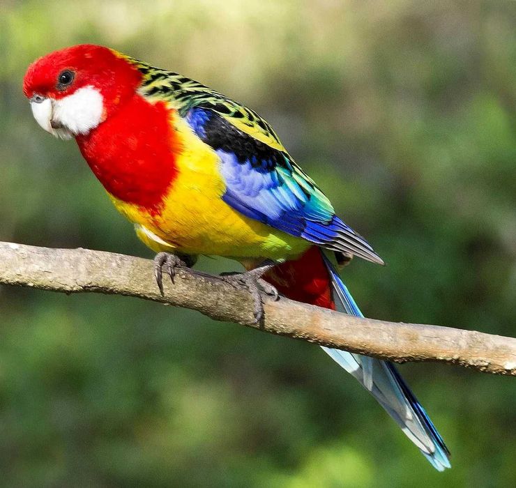 Жас пизду порно видео жалап