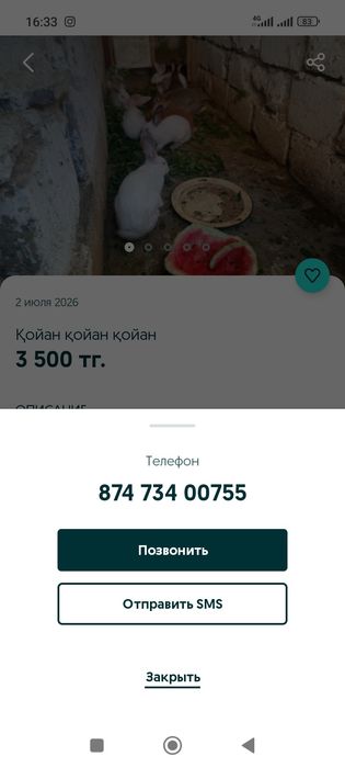 Жас малдар сатылады
