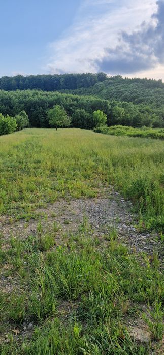 Vând teren intravilan între Baile Felix și Hidisel de jos