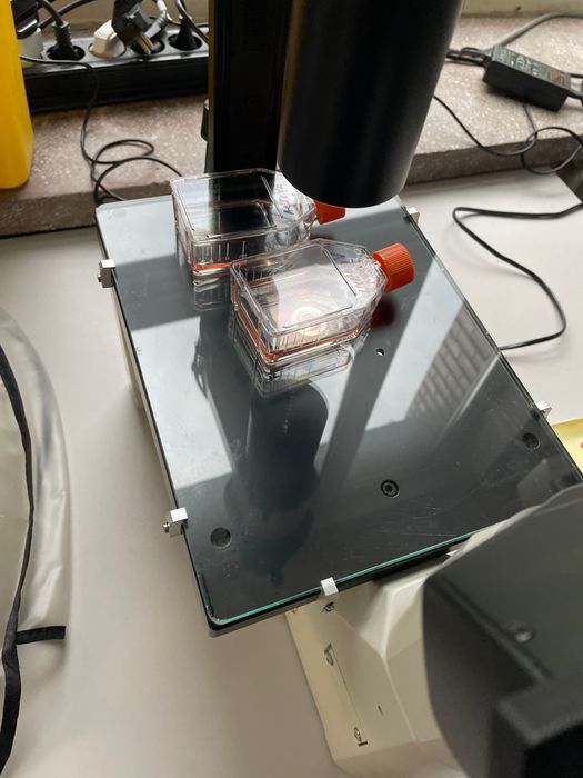 Microscop Leica Inversat