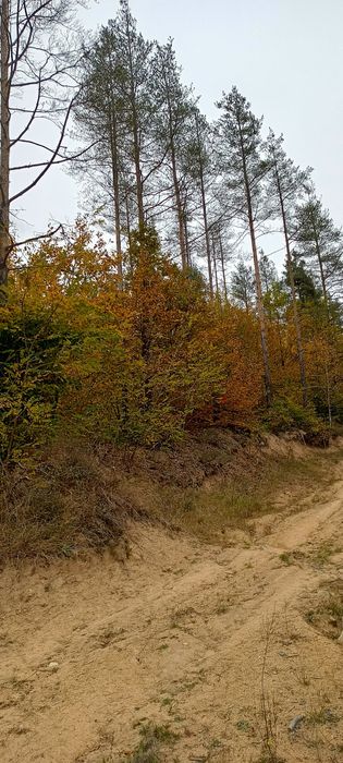 Продава се Земеделски имот в Смолян, в.з. Смолян -  кв.м за 1080 €/дка - Снимка #3