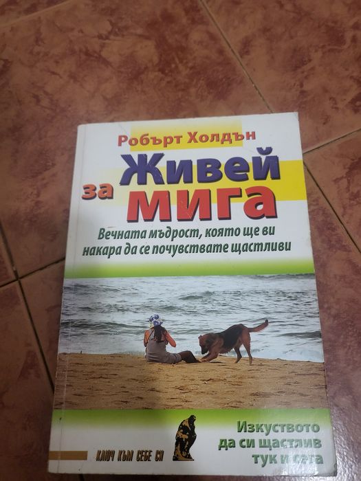 Живей за мига - Робърт Холдън