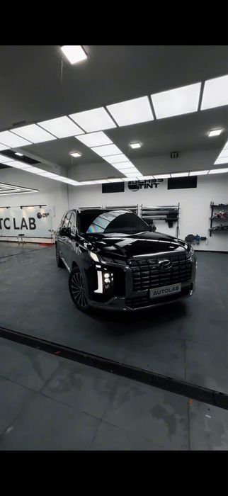 Hyundai Palisade calligraphy
