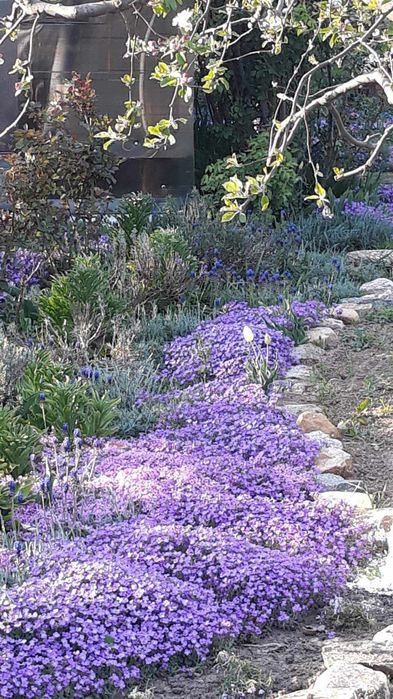 Semințe covor decorativ alb