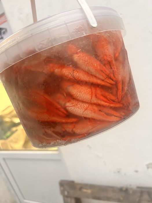 Раки каспийские вореные