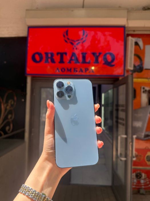iPhone 13 Pro Max