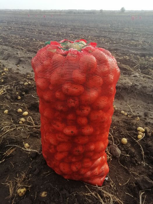Продам картофель едавой