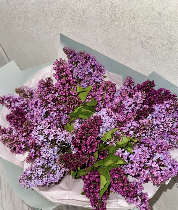 Продам сирень свежие