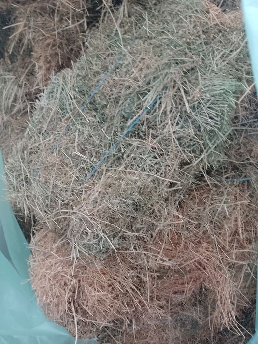 Baloti de Lucernā mazare si fin amestec Lucernanā