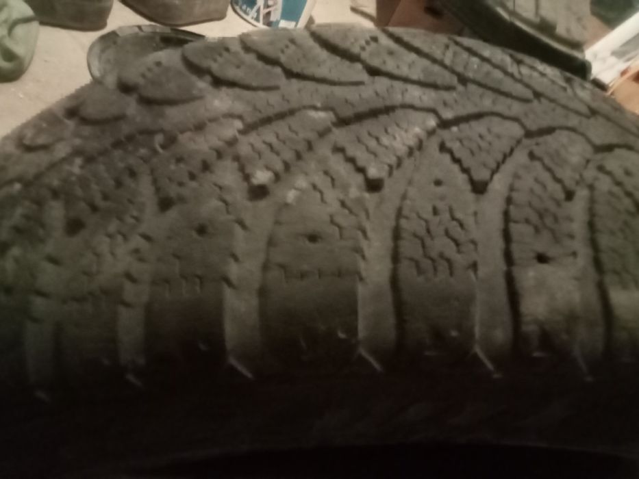 Аяқ, шина, балон бу