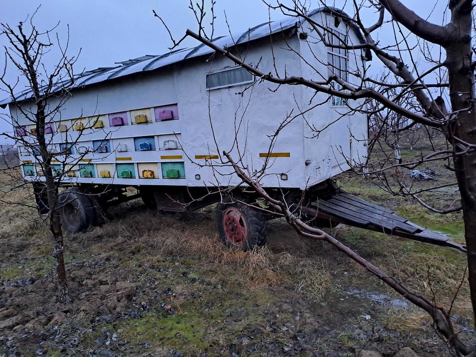 Remorcă apicolă cu 54 cutii stupi