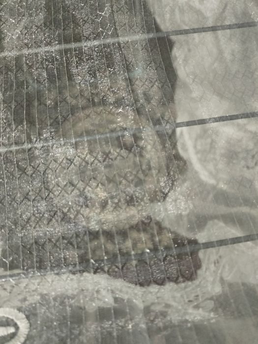 Тюль для гостинной