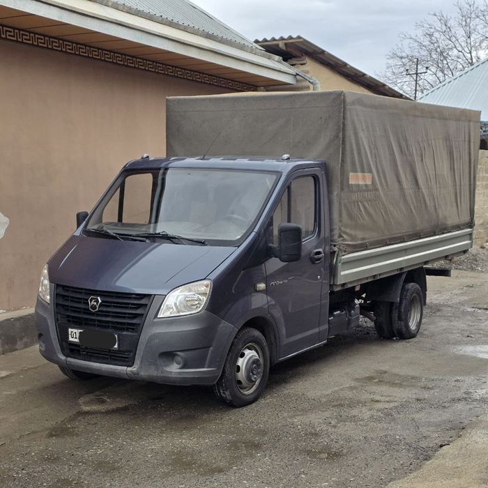 Gazel bortli 2019 yil