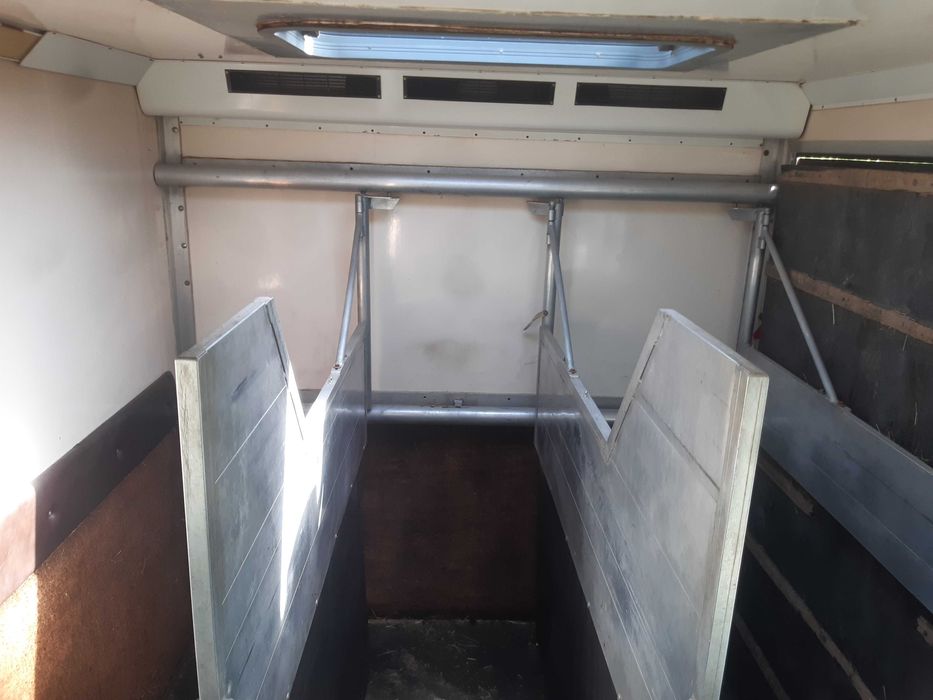 Mercedes Camion cai transport