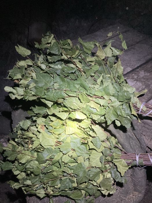 Веники березовые