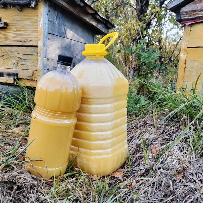 Продам Мёд. Разнотравье, горный.