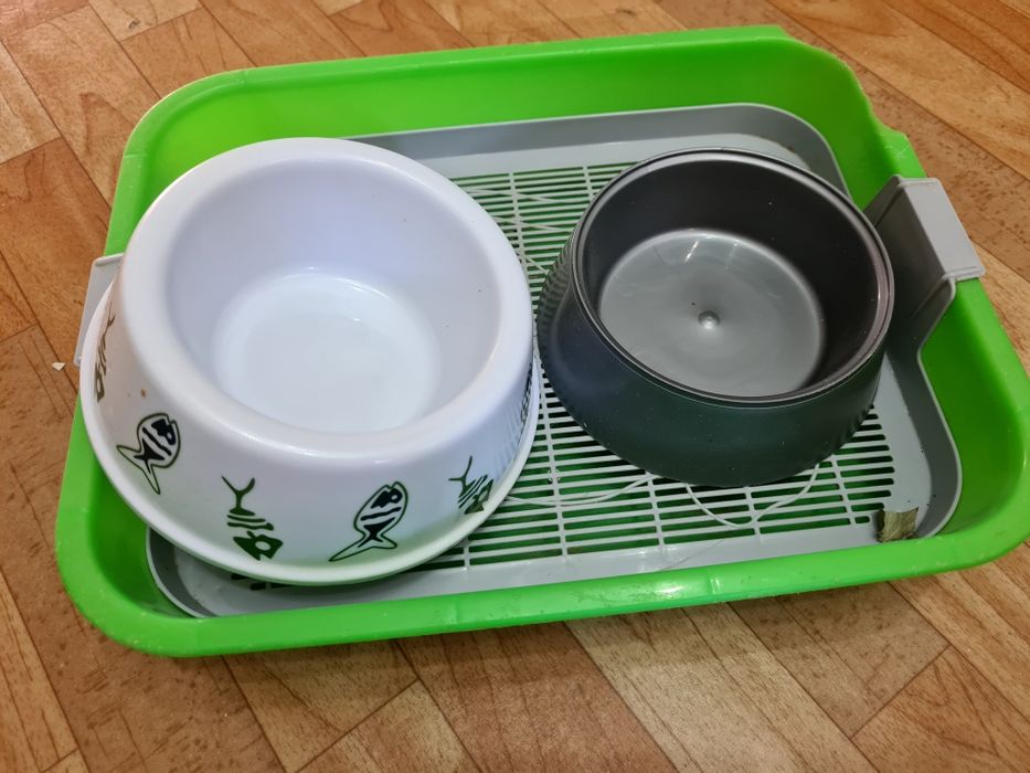 посуд набор для кошек новый