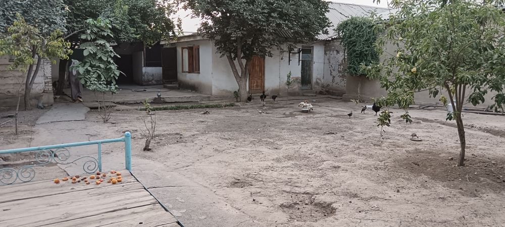 Ховли уй жой 6 суток