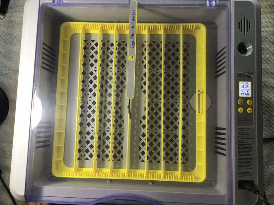 Incubator oua, clocitoare electrica, capacitate 36 oua, digital cu intoarcere automata a oulelor