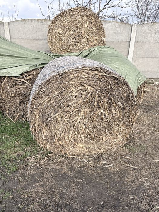 Baloți de tulei 40 de buc !!