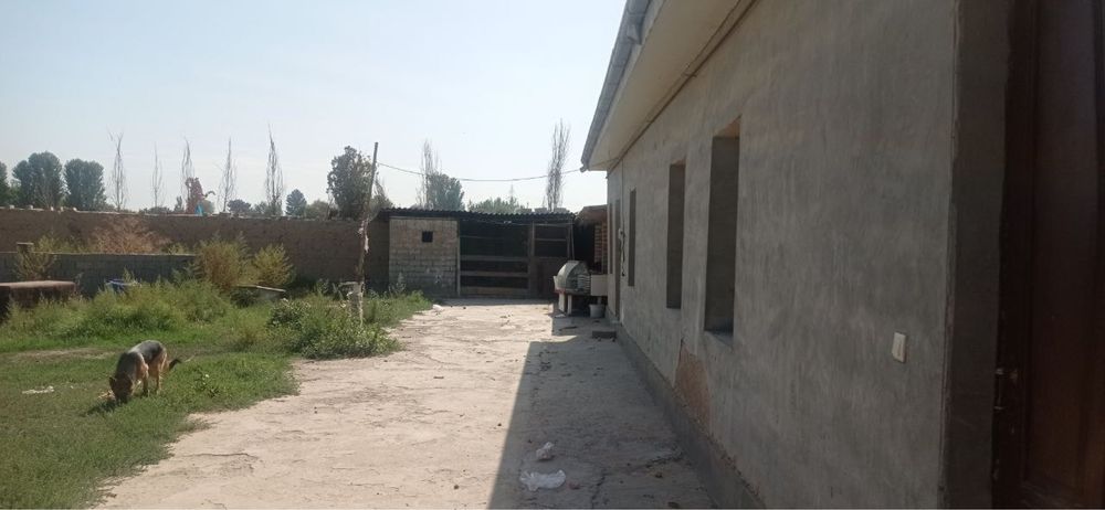 Yangiyulda uchastka sotiladi