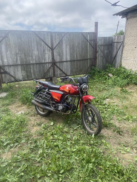 Альфа вортекс 110