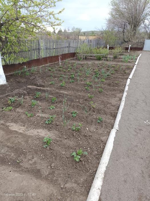 Продаем дачу в обществе Мичуринец