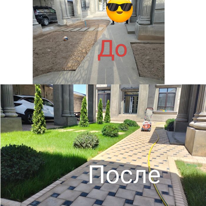 Көшеттер, газон,