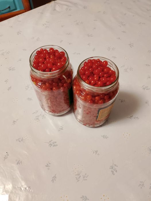 Продам Крассная смородина