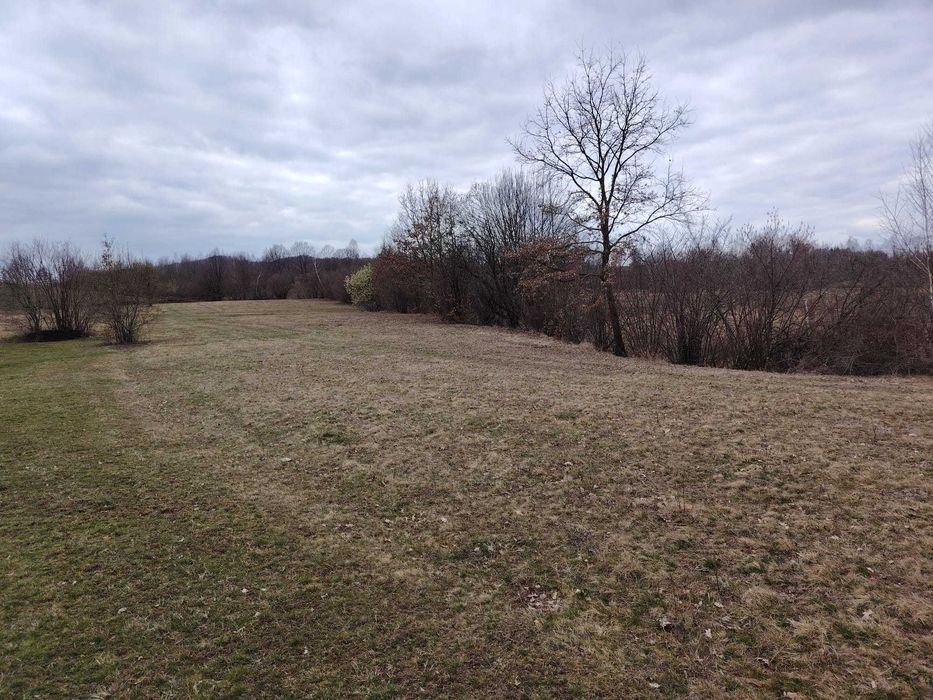 Vanzare Teren  Extravilan Sinca Noua