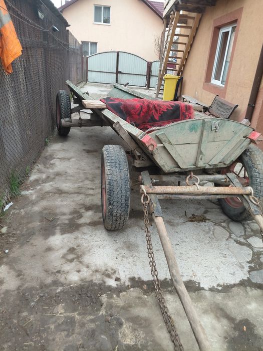 Cal castrat de vanzare inhamat tot