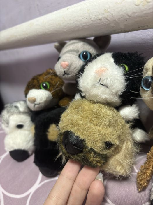 Котята и щенята игрушки