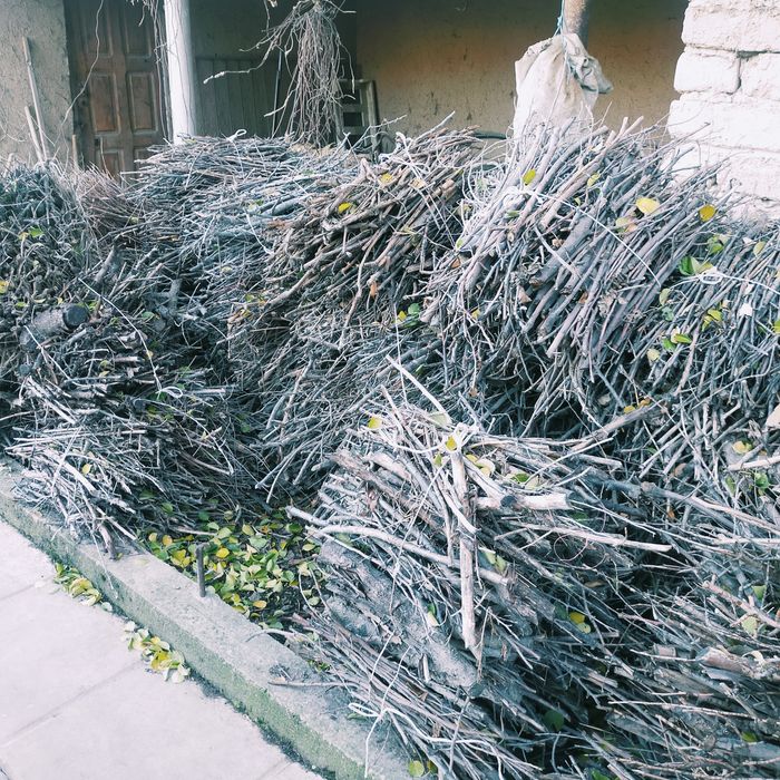 Даиын Отын путалган