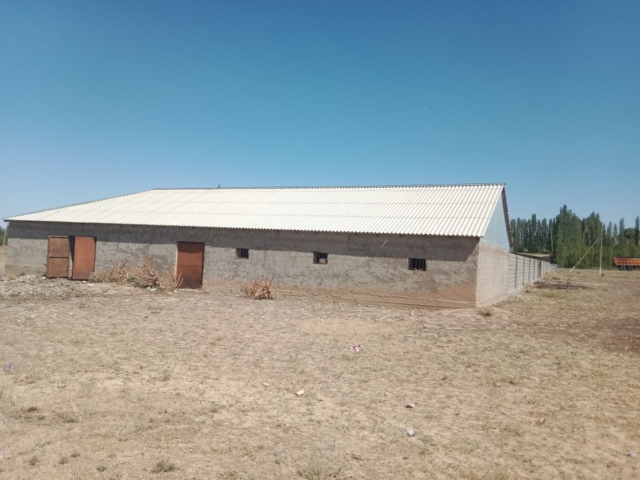 Кашара, сарай, ферма