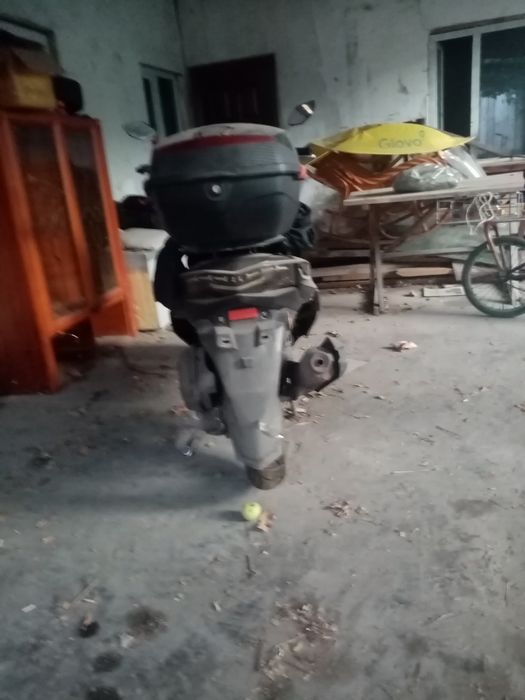 Мапет макси 2023