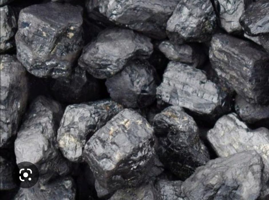 Как выглядит уголь орех фото Как выглядит уголь орех фото