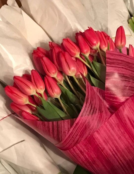 Тюльпаны продажа опт розница