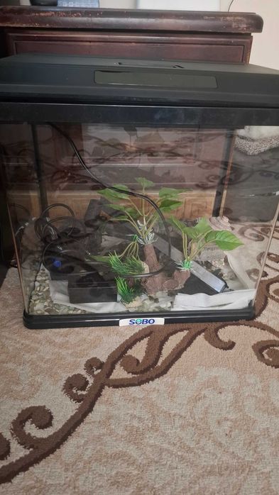 Аквариум на 30 литров