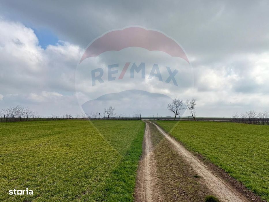 Teren de vanzare in Săcele ideal pentru silozuri, fermă 6 ha
