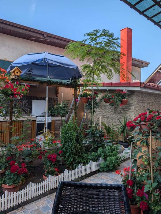 Vand casa deosebita in Techirghiol